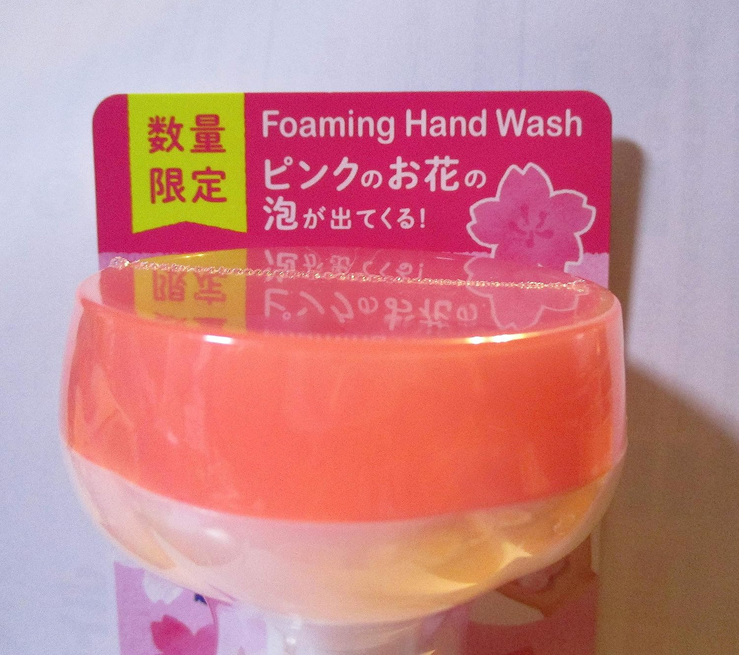 Kao Biore Foam Hand wash-flower stamp